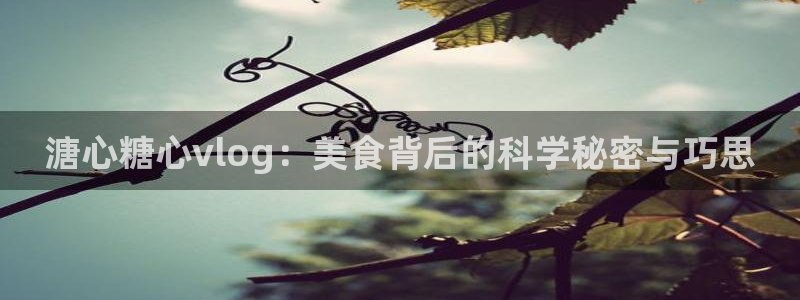 国产AV 糖心Vlog:溏心糖心vlog