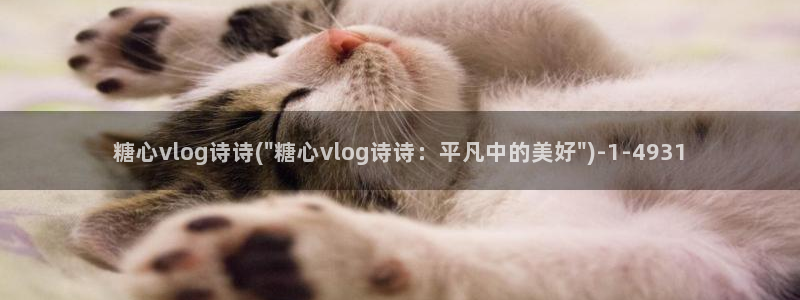 糖心vlog小橘在线:糖心vlog诗诗(