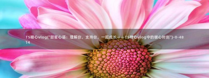 TX糖心vlog下载:TS糖心vlog(